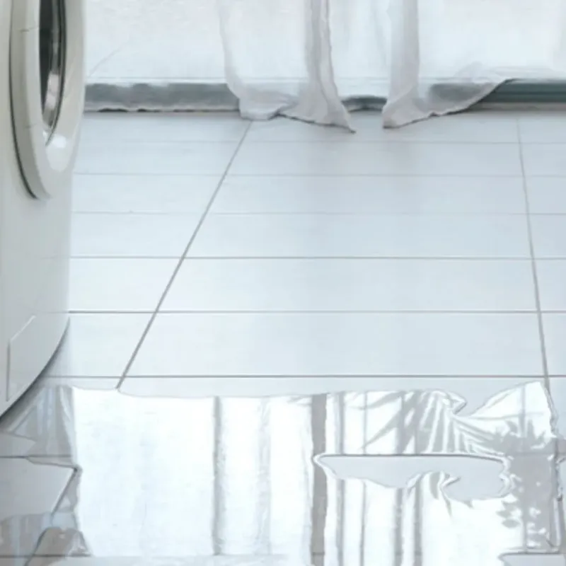 Appliance Leak Cleanup in Georgiana, AL