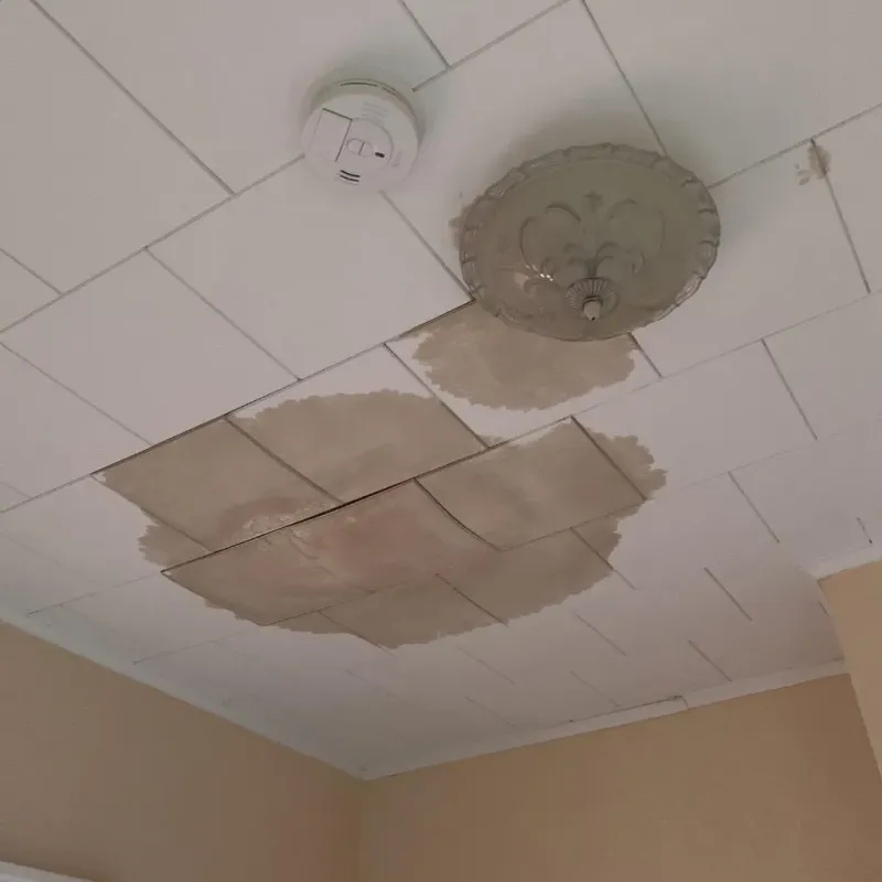 Ceiling Water Damage Repair in Georgiana, AL