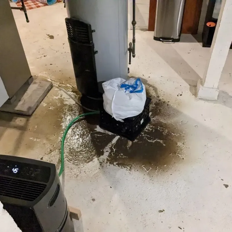 Sewage Backup Cleanup Service in Georgiana, AL